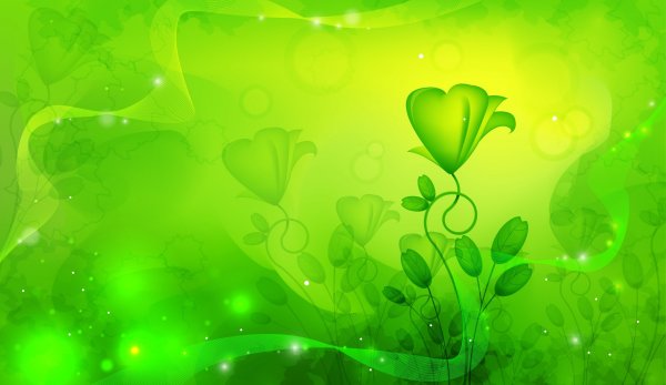 Красивый зеленый фон
