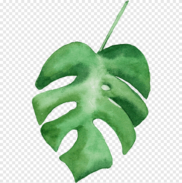 Зелёные рисунки