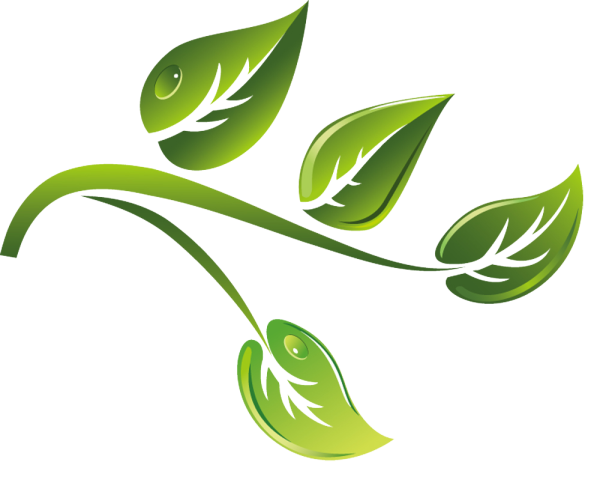 Зеленая веточка