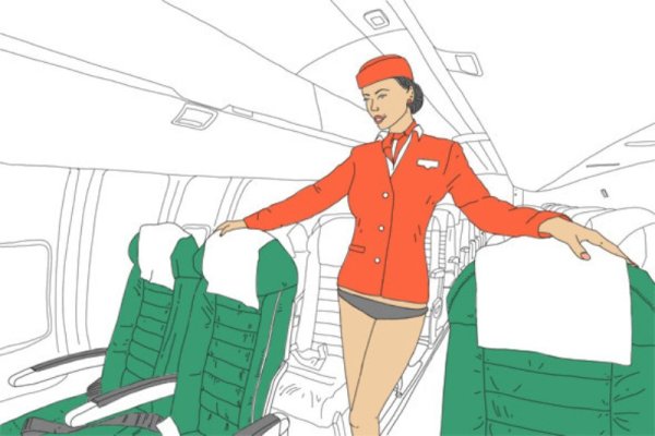 Стюардесса в самолете рисунок