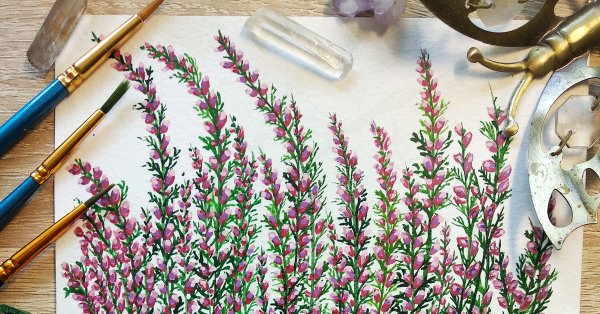 Семейство Вересковые (Ericaceae)