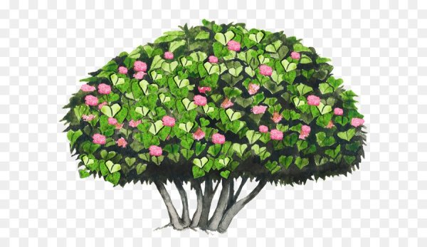 Мультяшный кустарник