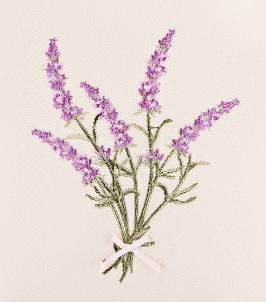 Вереск Ботаническая иллюстрация