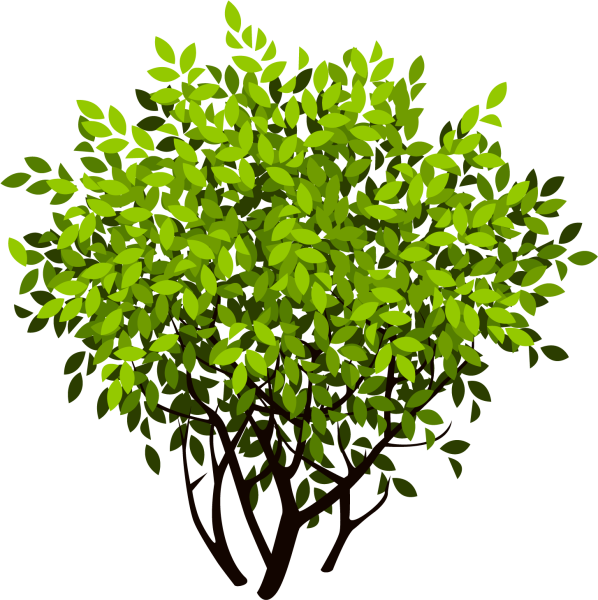 Куст иллюстрация