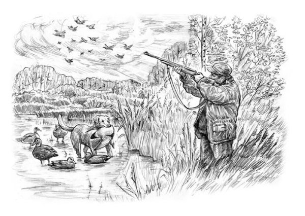 Охотничьи зарисовки