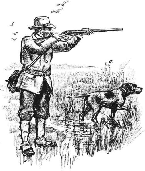 Охота на уток гравюра