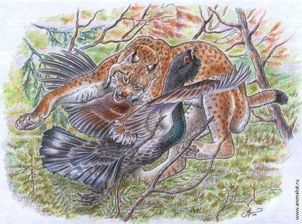 Гравюра охота