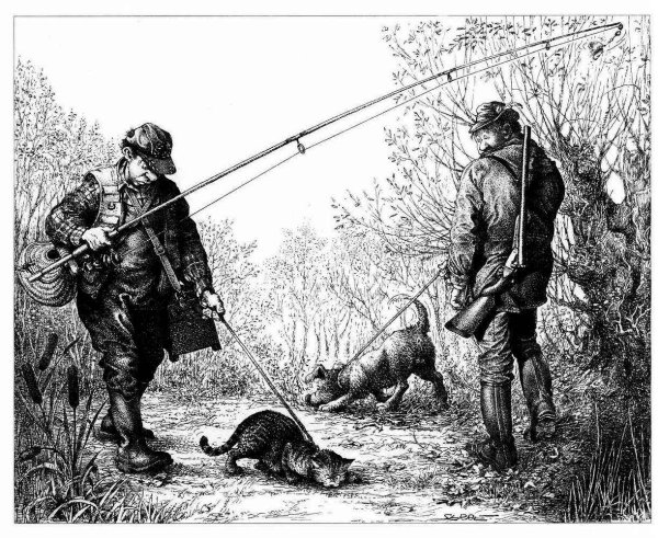 Дратхаар гравюра