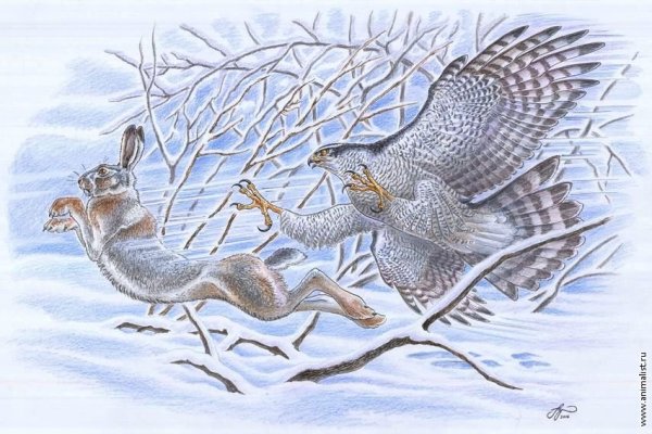 Силуэт охотника с ружьем