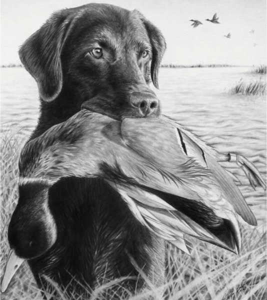 Художник Александр Дегтев собака на охоте
