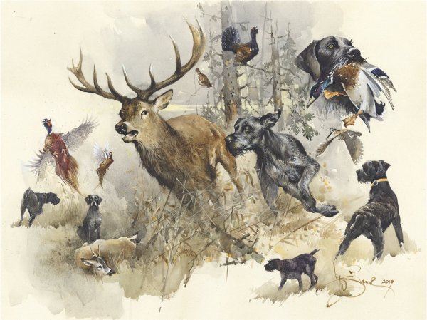 Вальдшнеп картины дратхаар