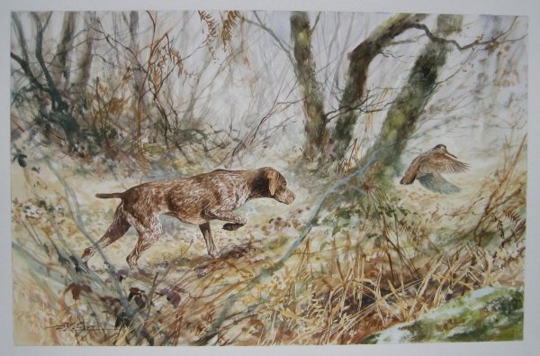 Б Житков охотник и собаки