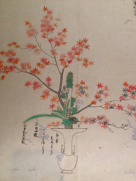 Эскиз Икебаны