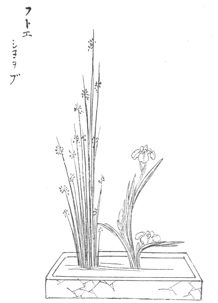 Икебана схемы