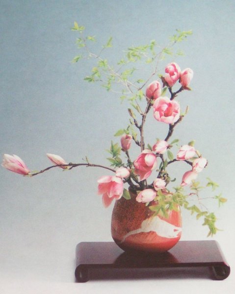 Зарисовка Икебаны