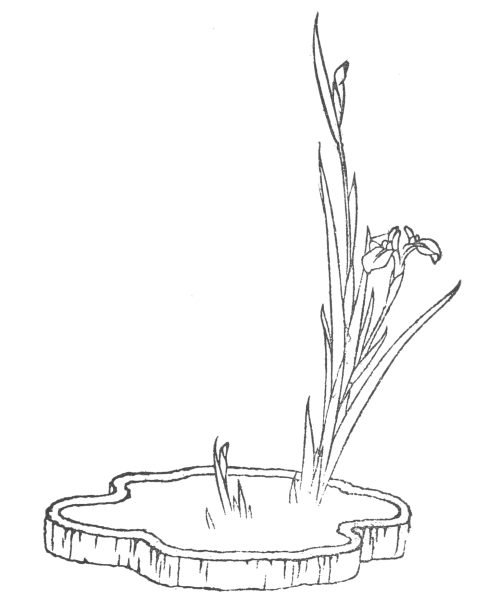 Икебана раскраска