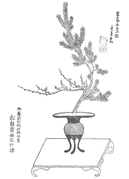 Экибана карандашом