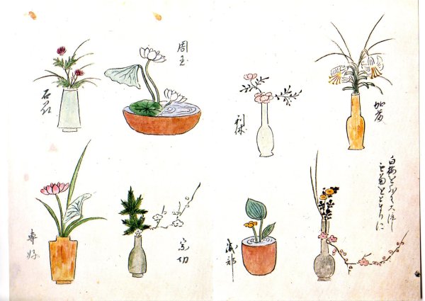 Н. П. Николаенко. Икебана