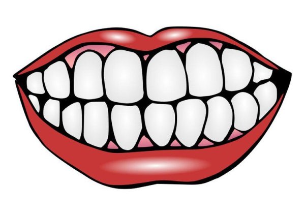 Зуб на белом фоне