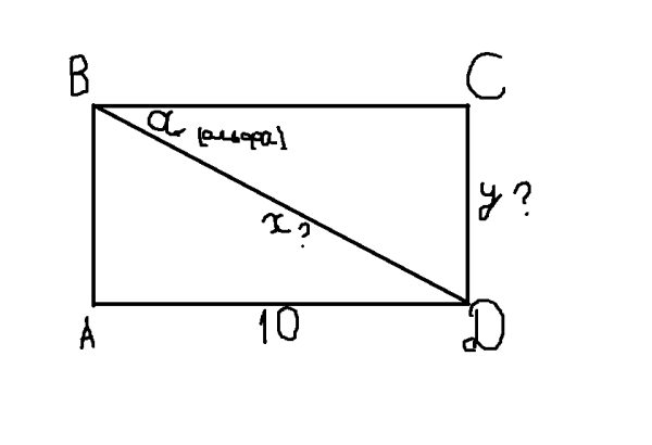 Прямоугольник ABCD рисунок