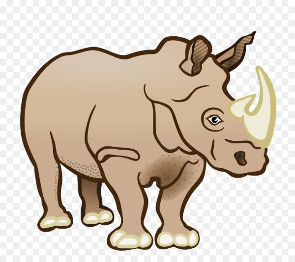 Носорог рисунок для детей