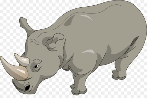 Носорог раскраска