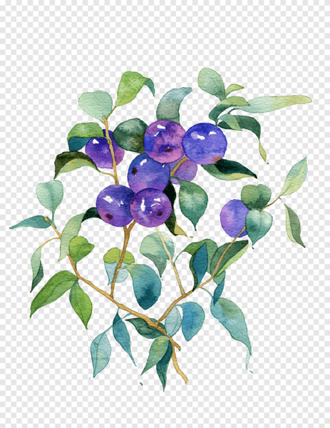 Веточка голубики