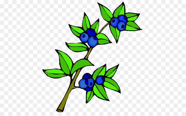 Черника мультяшная