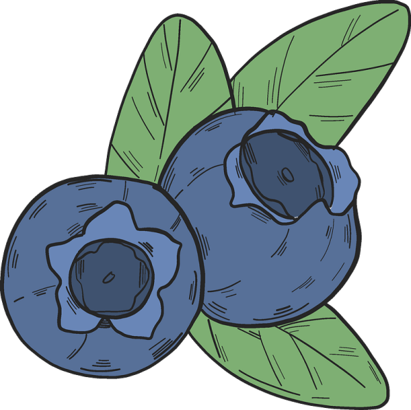 Голубика мультяшная