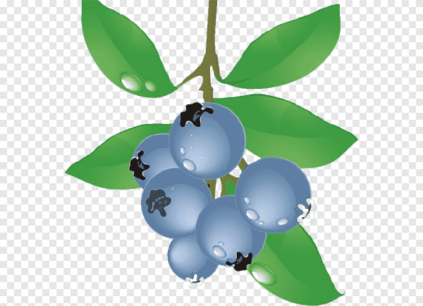 Черника мультяшный