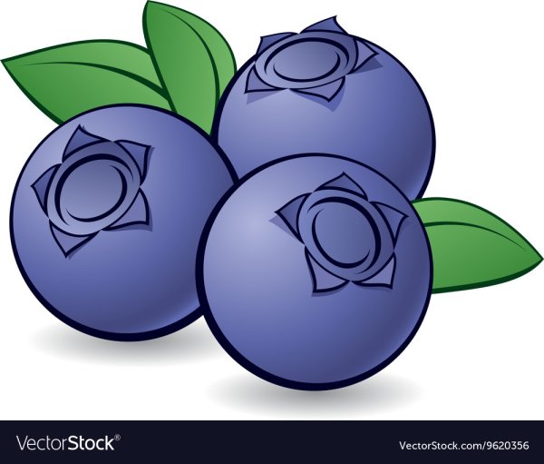 Голубика мультяшная