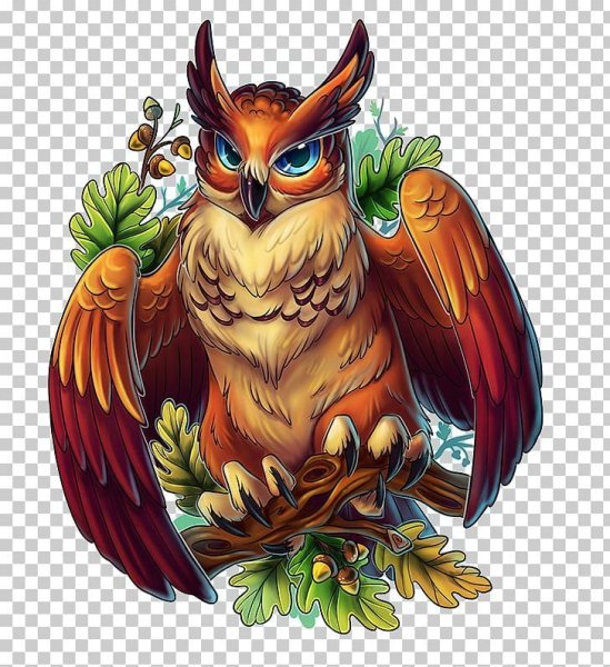 Сова рисунок