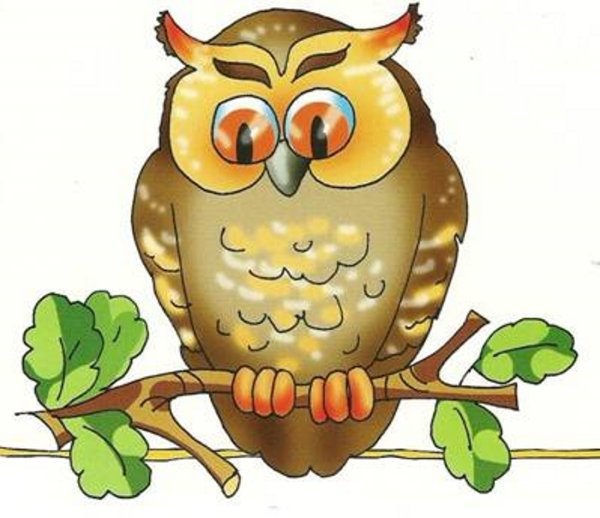 Сова рисунок