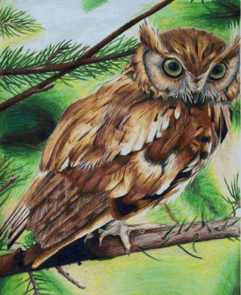 Рисуем сову красками
