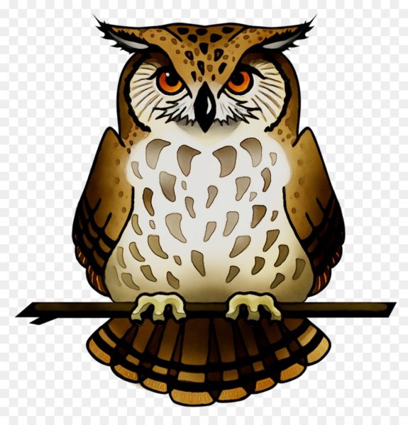 Филин рисунок карандашом