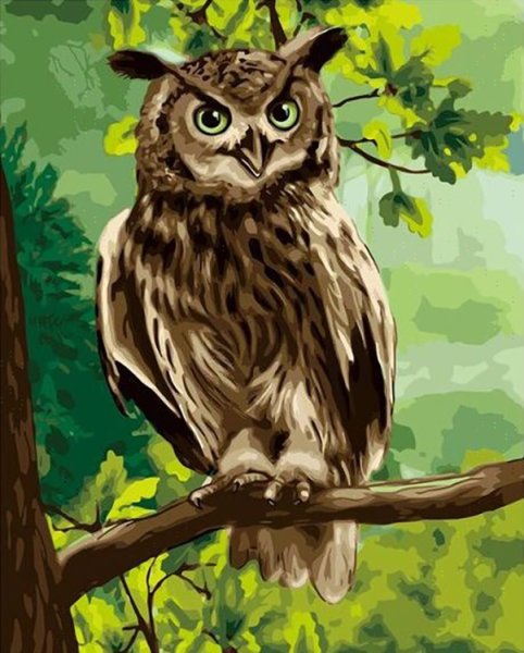 Картина Сова