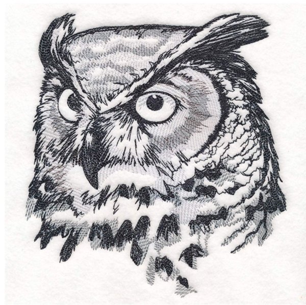 Сова иллюстрация