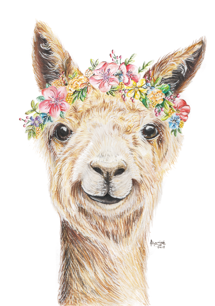 Постер лама альпака
