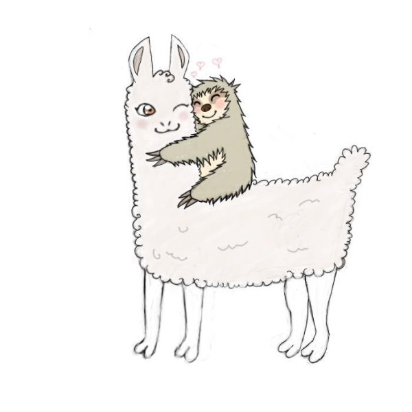 Лама для срисовки