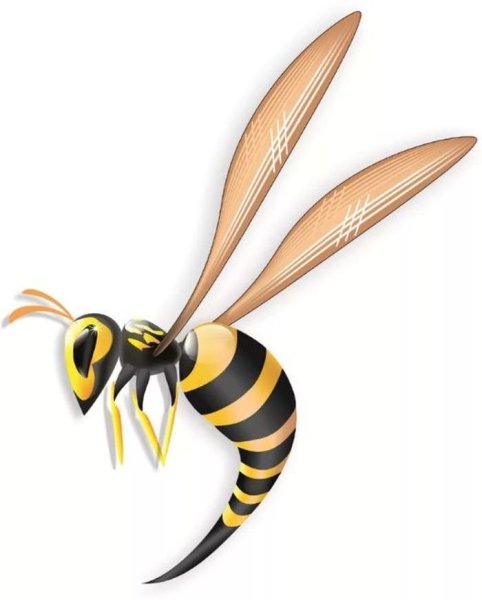 Оса мультяшная