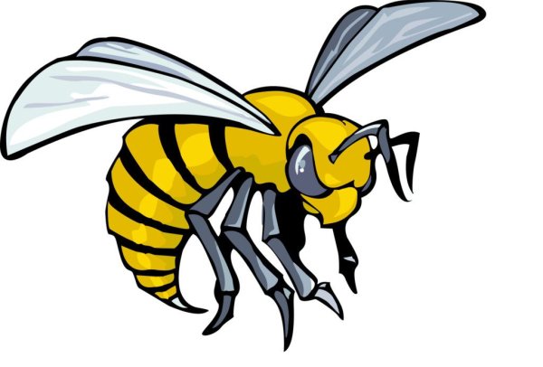 Хорнет пчела