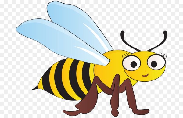 Оса для детей