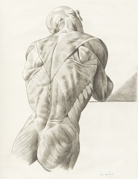 Экорше Рубенс