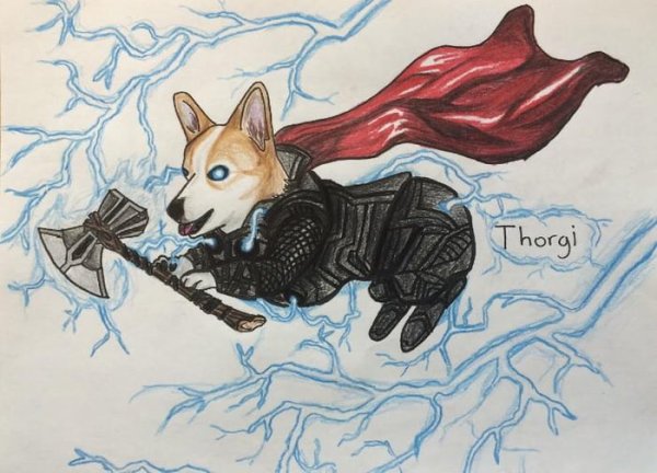 Собаки корги спасатели