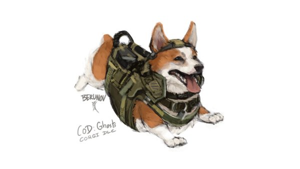 Корги в упряжке