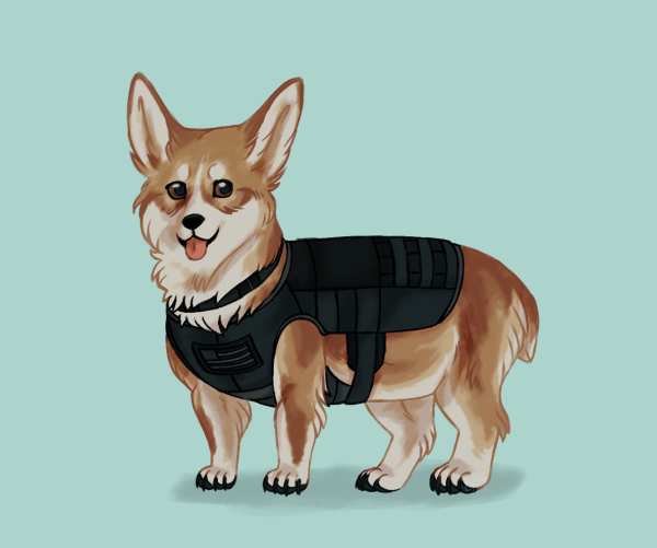 Корги киберпанк