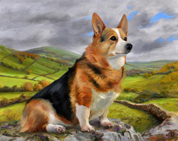 Картина вельш корги