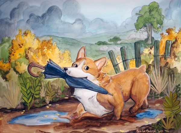 Корги Кардинал Кардинал