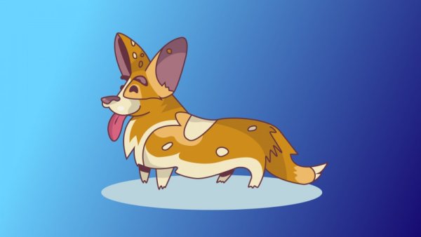 Митци корги