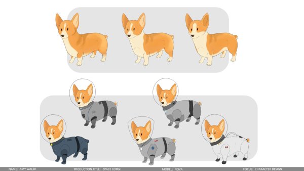 Вельш корги референс